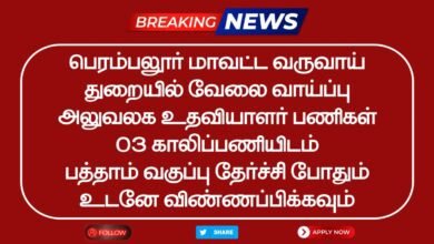 Perambalur Revenue Department Recruitment 2025 Vacancy for 105 Village Assistant Posts - Apply Now!